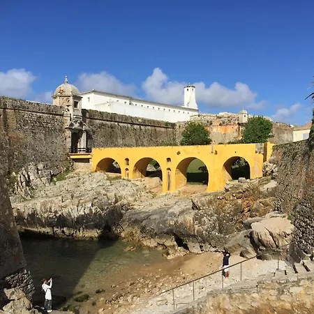 Family With Terrace And Pool ヴィラ